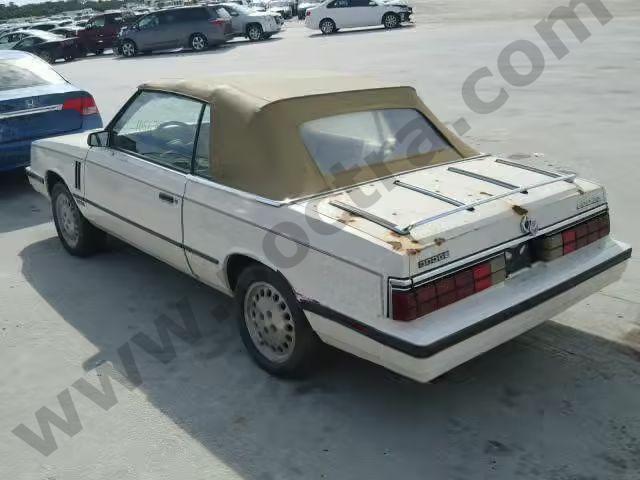 1985 Dodge 600 image 2